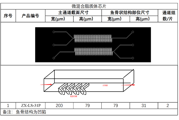 ZX-LS-31P微混合脂质体芯片.jpg