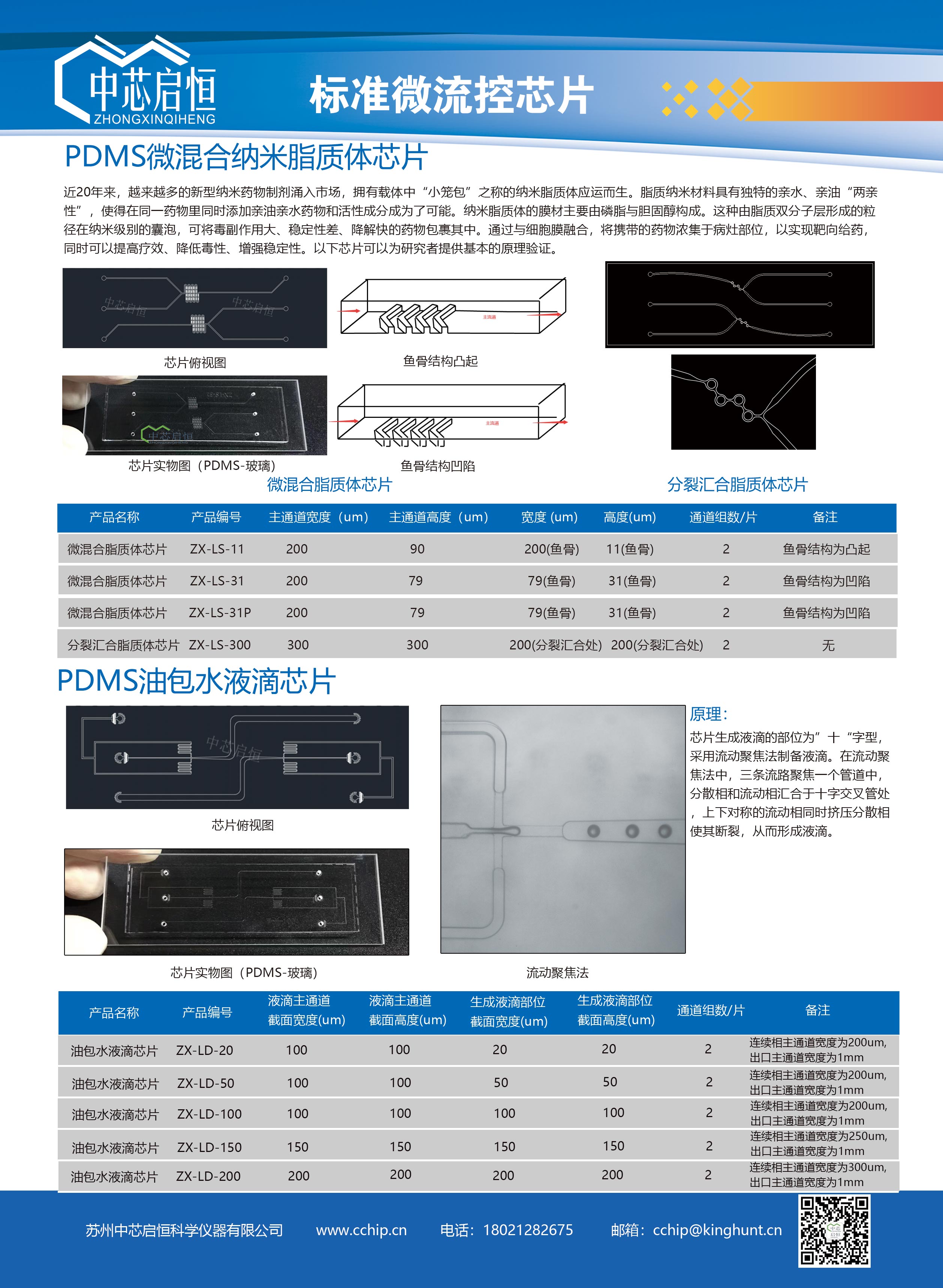 中芯启恒标准微流控芯片1.jpg