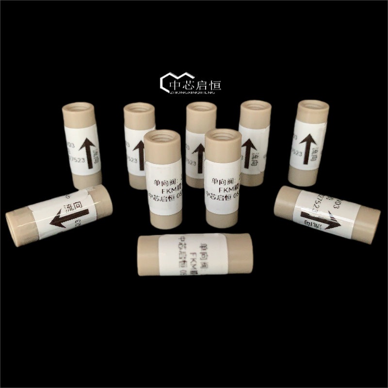 20241211单向阀 1.1.2-800-800 - 带logo.png